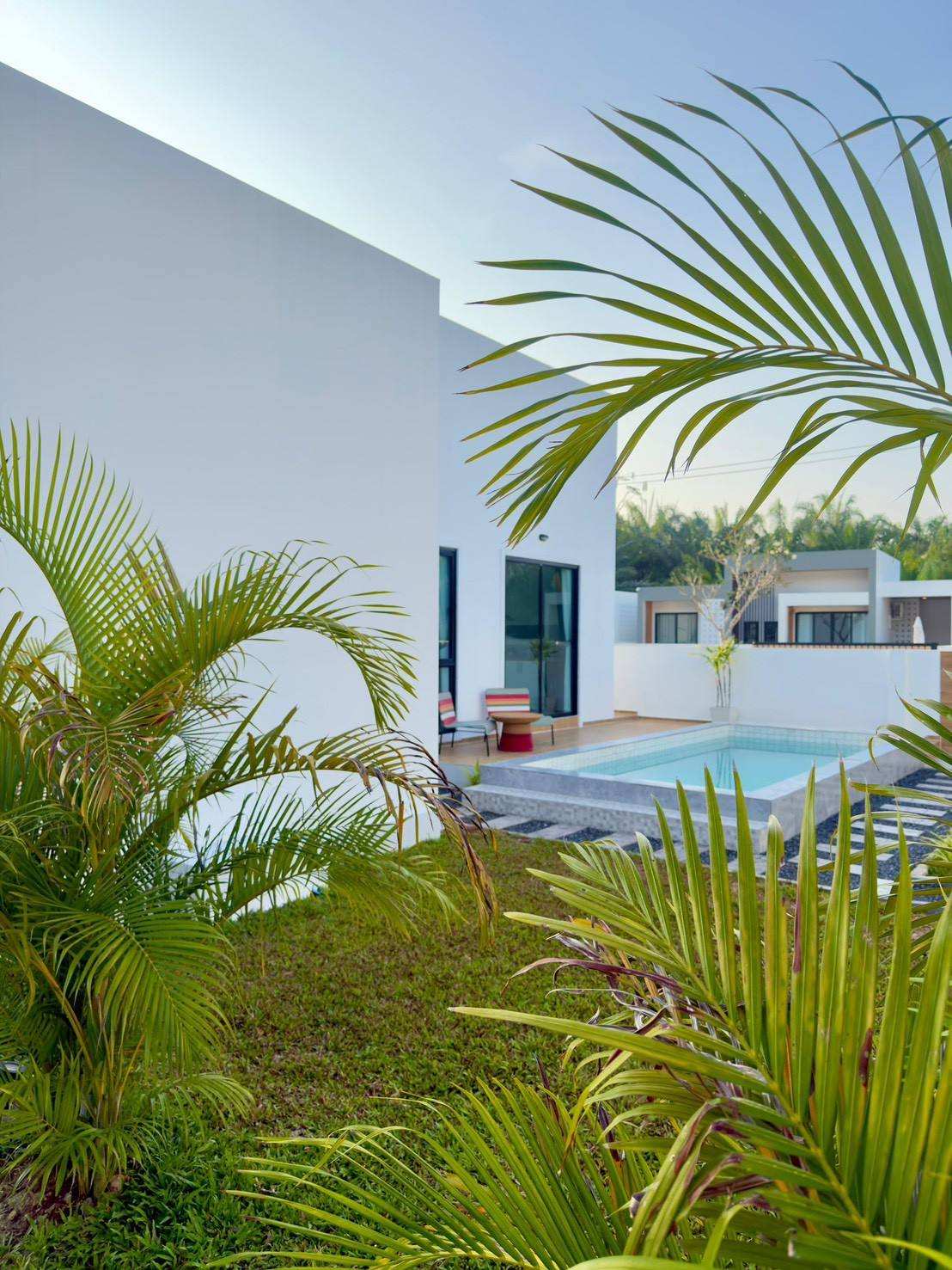 LINE_ALBUM_Palm serenity_260528_11