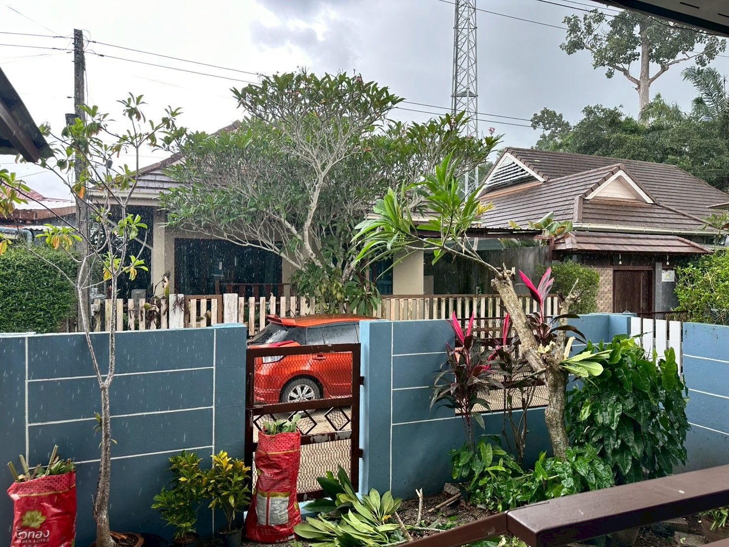 LINE_ALBUM_Nathai Yim(25000)_260610_1