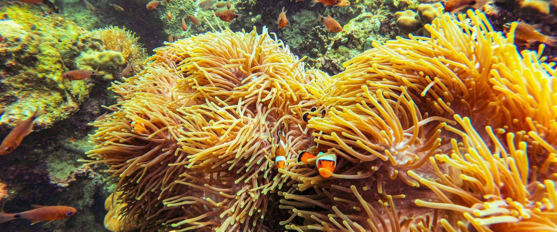 DCIM100GOPROGOPR0790.JPG