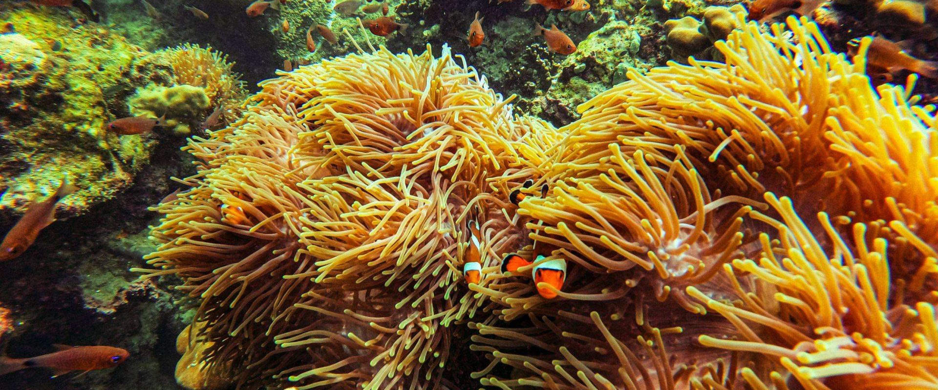 DCIM100GOPROGOPR0790.JPG